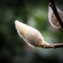 둔산튼튼한의원 이미지