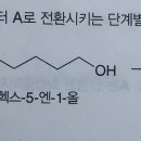 알켄과 알코올 중 산과 더 빨리 반응하는 것은? 이미지