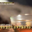 웰빙티모아