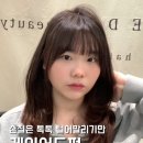 더아름다움뷰티 | 긴머리 허쉬컷, 인생 머리 찾았다! 성수동 시드더뷰티 후기