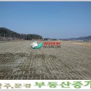 소백산주유소 이미지