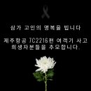 늘푸른크린