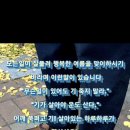 슈올즈범물점 이미지