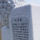 개금약초 이미지