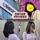 이나연헤어 | 부천 미용실 레이어드펌 볼륨펌 | 꼼블리살롱 부천신중동점 수진 원장님