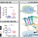 암전이 단백질 관련 펩타이드 항암제 특허 출원 이미지