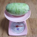 체리포포 이미지