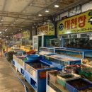 바다회해산물 이미지