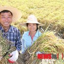 풍년상사 이미지