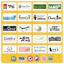 올캣코리아 이미지