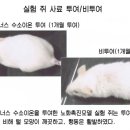 라온식품