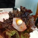 동해포차 이미지