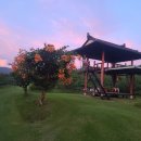 운곡 농장 이미지