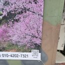 월악산자연농장 이미지