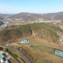 세종특별자치시산림조합