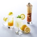 수정 커피 맥주 이미지