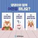영진홈케어 이미지