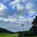 한림용인 이미지