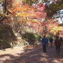 남산공원길 이미지