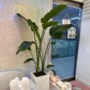 도봉-도봉-서울도봉-2543 이미지