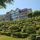 하늘보라 이미지