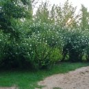 삼산체육관역 4번 출구 이미지