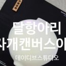 데이디브스튜디오