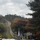 대월초 | 강화도 가을 당일치기 여행