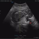 정평봄산부인과의원 이미지