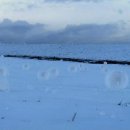 미국 아이다호 지역에서 발생한 희귀현상인 두루마리 눈(snow roller) 이미지