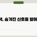 전조 이미지