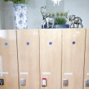 최대경여성의원 이미지