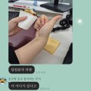황소 카 정비 | 9월 1주차 일기