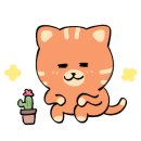 사랑해베이글화성봉담점