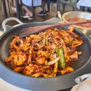 (주)강아유 이미지