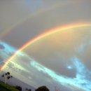 무지개 이미지