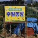 도희농장 이미지