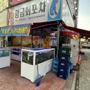 광주 물회 맛집 수완지구 황금회포차 리얼 후기