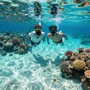 진흥카서비스 | 미야코지마 여행 (숙소, 야비지투어, 스노클링)