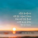 일상의 행복 이미지