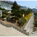 장천초등학교 이미지