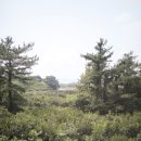 (주)엠씨건축디자인
