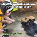 아이프라자(시흥아이프라자) | 인천 시흥 아이와함께 가볼만한 곳 쥬벅스앤쥬니멀 실내동물원 주말