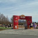 순천만국가정원 | 순천만국가정원 겨울 후기｜식물원 &amp; 가든마켓 힐링코스