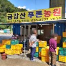 금강산푸른농원 이미지