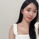 디어리쉬 시어버터 너티브라운 실키그레이 후기