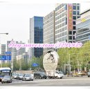 플러스텔Ⅱ 이미지