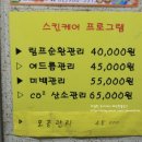 크리스탈 스킨케어