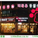 리틀쥬동물의료원 이미지