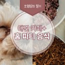 벨라애견카페 이미지
